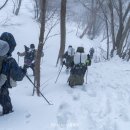 동계상회 | On The Trail 울릉 2026 / 동계 나리분지 백패킹 OTT 울릉 1일차