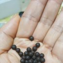 누베베한의원 이미지