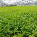 도덕농장 이미지