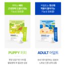 하이비오 이미지