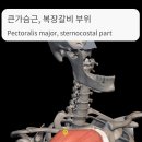 즐거운피티샵(개봉점) 이미지