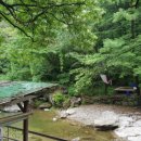 수동골 Daum카페