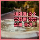 현대로프트세탁 | 세비야 대성당 근처 호텔 아파트 호스텔 유형별 장점 및 실제 후기