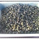 하민농장 이미지