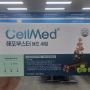 고려식물약국