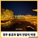 귀빈애견 | [경주] 동궁과 월지 안압지 기념품 부모님 동반 3인 밤 9시 야경 방문