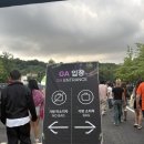 대웅 | 2025 움프 UMF edm 페스티벌 후기 + 대웅제약 SAVETHEHERO