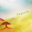 에버그린 이미지