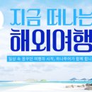 하나여행주 이미지