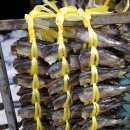 명태와 아이(풍어의 | 다들 &#39;청어의 추억&#39;이 있나요? 값싸면서 맛있는 등푸른 생선