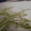 해양정원 이미지