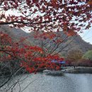 중국단풍길 이미지