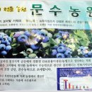 문수농산 네이버블로그