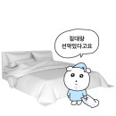 ☆이제 와서 하는 2024 결산 ♡