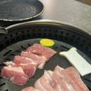 분당정자1-D-1 이미지