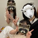 원진어린이집 | [7월 일상] 오랜만에 제주 그리고 결혼식과 서울 출장🫧🤍