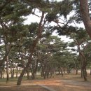 솔뫼목장 이미지