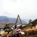 지리산 외갓집 | (2025.1월)광양 한달 장박 캠핑 5주차-숲내음에머물다(feat. 하동지리산생태박물관, 스타웨이 하동)
