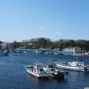 대진항(문어축제장) 이미지