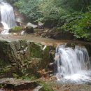 자작나무쉼터 이미지