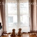 제주도게스트하우스협재정류장 이미지