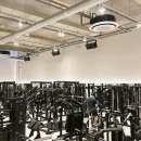 데일리프로젝트 피트니스 이미지