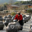 토종토식품 연합뉴스