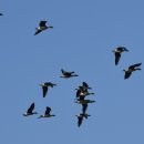 동주 농장 이미지