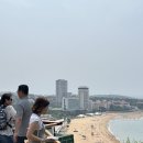 (천주교)평택성당 담장 | [칭다오 가족여행] 3-1 소어산공원 | 대학로 | 천주교 성당, 중산로, 블랜 버니, 기념품 추천