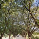 초록숲약국 이미지