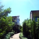 P-7505 | 태국 빠이 호텔 레브리 시암 Reverie Siam Resort