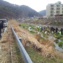 광도면사무소 이미지