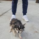 배산실내체육관 이미지