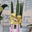 수학시간수학교습소 - 화성시 동탄산척로1길 35 | 수학시간수학교습소