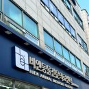 비엔동물전문의료센터 | 강아지 눈건강 체크, 안과 정기 검진 비엔동물의료센터 후기