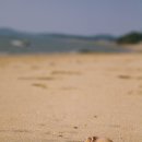 모래위에 이미지