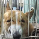 카페12월32일 이미지