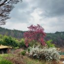 심청한옥마을 이미지