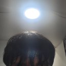 세계 복싱 체육관 | [한성대/성신여대] 성신여대 권투 복싱다이어트 추천 국제복싱체육관 솔직후기