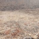 앙성초 영죽분교 이미지