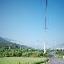 엠알렌트카 | [경주/포항] 한적하고 고요했던 감포 여행기