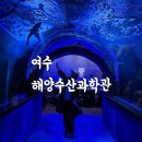 해양 | 여수 아쿠아리움만 있는 줄 알았죠? 가성비 아쿠아리움 해양수산과학관 솔직 후기