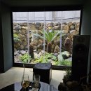 상하한아름목장 이미지