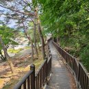 무병장수 둘레길 이미지