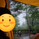 깔끄미세탁의집 이미지