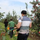 사과시험장 앞 이미지