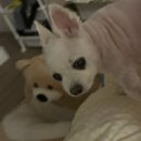 넘버원팜스