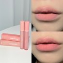 립보이 | 웨이크메이크 볼드 립 블러틴트 4호 포쉬 12호 로젤레떼 후기 :) 보이는 컬러 그대로