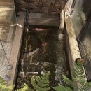 시엘호텔(CL HOTEL) | 베이징] 중국 전통적인 분위기의 감성 숙소 베이징 161 호텔 러자이난뤄 부티크 호텔 1박 후기 내돈내산