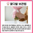 꽃님이 | 온라인 꽃배달 후기💐 꽃님이 / 꾸까 / 어니스트 플라워